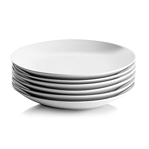10 Strawberry Street Simply White 7.5" Coupe Salad Plate, Set of 6 - size: Salad Plate, style: Coupe