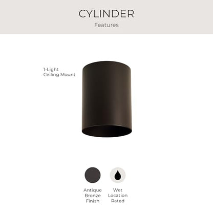 Progress Lighting 5-Inch Cylinder Outdoor Flush Mount Ceiling Light, Antique Bronze - color: Antique Bronze