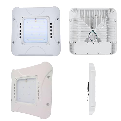 300W LED Canopy Light, 48,000LM, 5700K Daylight, Waterproof