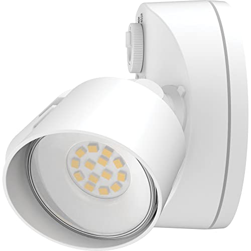 Lithonia Lighting HomeGuard 2-Light LED Outdoor Flood Lights, Dusk to Dawn - color: White, size: 2-Light, style: 1750-2750 Lumens