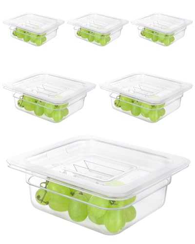 6 Pack Food Pan with Lids,1/6 Size Shatterproof Stackable Plastic Hotel Food Pan for Party, Catering, Home kitchens Meal Prep,-40°F to 212°F (1.1QT(1.1L), 1/6 size 2.5" deep) - size: 1/6 size 2.5" deep