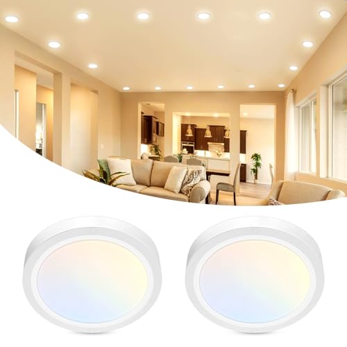 libtit 2Pack 4.7 Inch Small LED Ceiling Lights Flush Mount, 3000K 4000K 6500K Adjustable, 7W 700LM White Round Disk Light Fixture for Closet Basement Bathroom Hallway Kitchen Office Garage - color: White, size: 4.7In-2Pack
