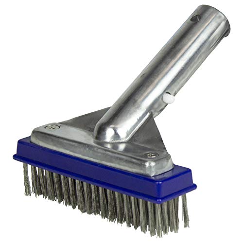 Poolmaster 5-Inch Stainless Steel Pool Algae Detail Brush, Heavy-Duty Aluminum Back, for Gunite Concrete Pools and Spas, Small Narrow Head for Corners, Steps and Tight Areas 5-Inch (Pack of 12) - size: 5-Inch (Pack of 12)