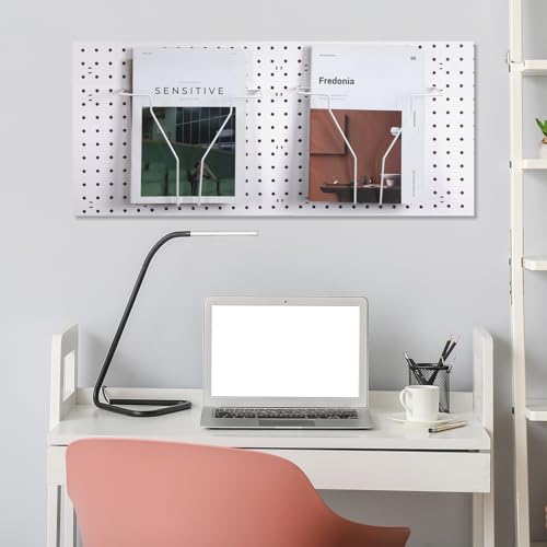 Wonderjune 4 Pcs Expandable Literature Display for Pegboard, White - color: White