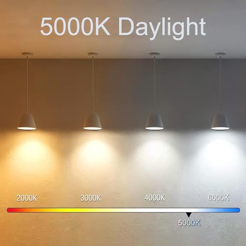 3.2 Inch 5000K Daylight White E26 LED Bulb 60 Watt Equal, AC 120V 600LM Edison Bulbs Dimmable, 6W T10 T30 Filament Light Bulbs Clear Glass for Fan Pendant Wall Light, ETL Certified-4 Pack - size: 3 Inch 6W (4 Count)
