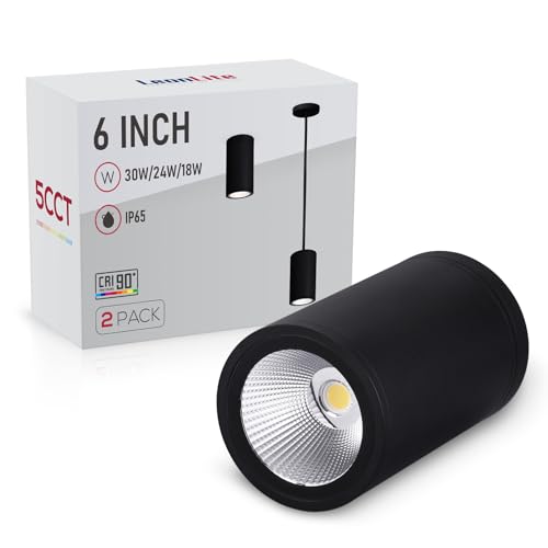 LEONLITE 2-Pack 5CCT 6 Inch LED Tube Architectural Pendant Downlight, Black - color: Black