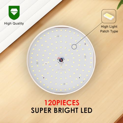 Solar Camping Lantern with Remote, Waterproof Hanging Tent Light