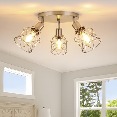 WILON 3 Light Track Lighting Fixture Ceiling Light Kitchen Brushed Nickel - color: Brushed Nickel, size: 3-Light-Cage