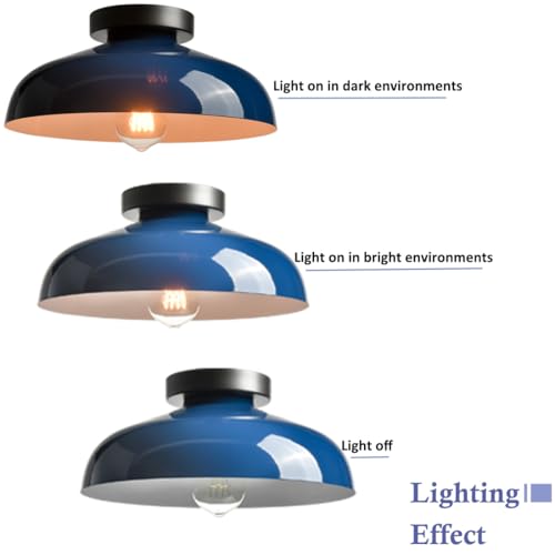 DIRYZON Industrial Blue Semi Flush Mount Ceiling Light, 12-Inch - color: Blue