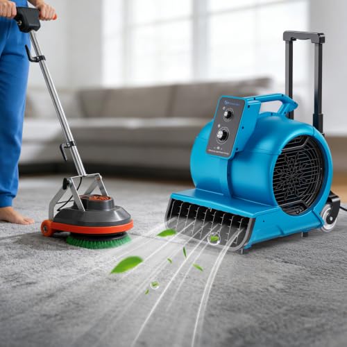 Air Mover 1 HP 4000 CFM Air Mover Blower Fan, Carpet Dryer, Floor Dryer Fan - color: Blue