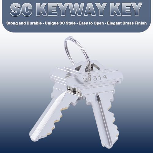 Brass Mortise Door Cylinder Locks Keyed Alike with 4 SC Keyway Keys, Commercial Door Replacement Lock - size: 1 1/8 inch