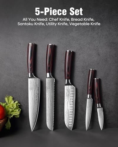 PAUDIN 5-Piece Chef Knife Set, Ultra Sharp Kitchen Knives