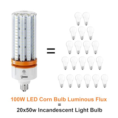RIUVAO 1000W Equivalent LED Corn Light Bulbs, 2 Pack 100W Led Corn Bulb 5000K Daylight White E26 E39 for Large Area Lighting, Warehouse，High Bay Lighting Wide Application