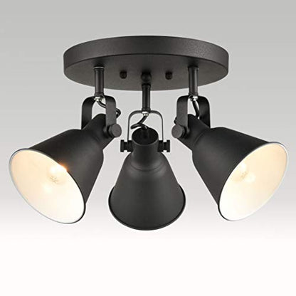 Multi-Directional Ceiling Spot Light, Adjustable Round Track Lighting - color: Black, size: 3-Light（Style B）
