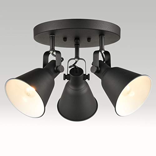Multi-Directional Ceiling Spot Light, Adjustable Round Track Lighting - color: Black, size: 3-Light（Style B）