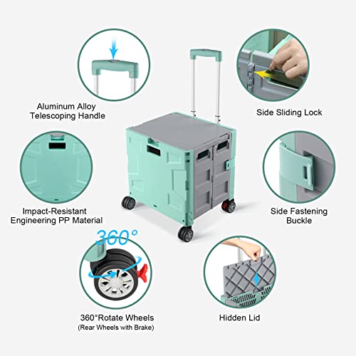 FELICON Folding Utility Cart Rolling Crate Handcart Basket Tote-Green+Gray - color: Green+gray, size: FW548-Hidden Lid