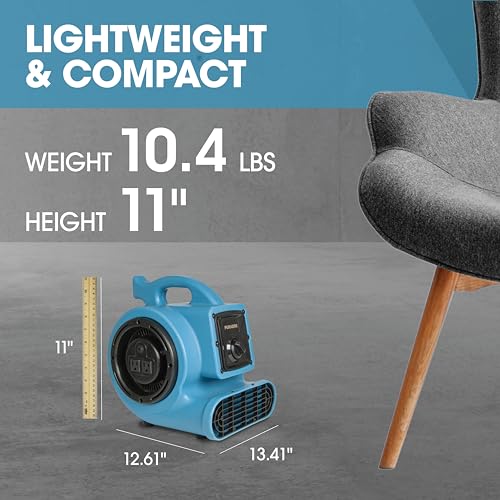 Mini Air Mover | Carpet Dryer and Blower Fan | High-Velocity Floor Fan for Crawlspaces, Attics, Basements, Bathrooms | 1/5 HP 800 CFM | Water Damage Restoration, Grow Rooms | PA-200-AM | Blue