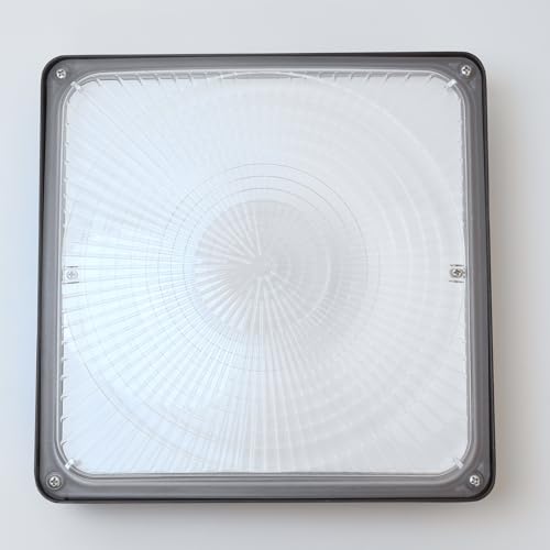 CINOTON 40W LED Canopy Lights UL Listed 5600LM 5000K Daylight 1 Pack