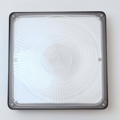 CINOTON 40W LED Canopy Lights UL Listed 5600LM 5000K Daylight 1 Pack