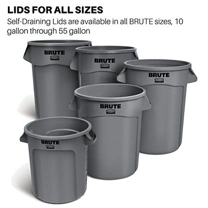 Rubbermaid Commercial Products BRUTE Heavy-Duty Round Trash/Garbage Lid, 20-Gallon, Black, Outdoor Waste Container for Home/Garage/Mall/Office/Stadium/Bathroom