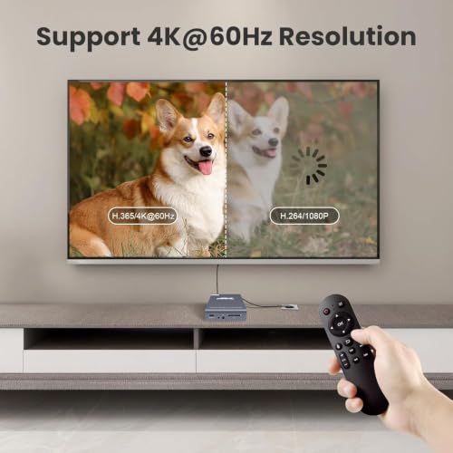 4K@60Hz H.265 Ultra HD Digital Media Player & HDD Enclosure 2 in 1