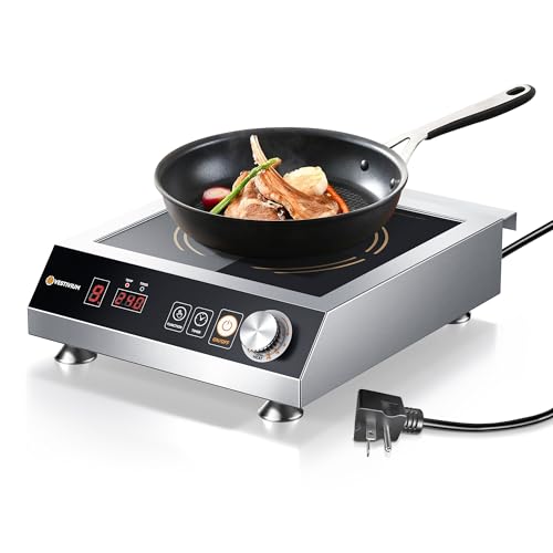 3500W Commercial Induction Cooktop, 220V Plug, Professional Heavy-Duty Portable Burner, 45s Fast Boil, 72H Continuous Use, Dual Fans, IPX4 Waterproof for Restaurants, Food Trucks, Catering