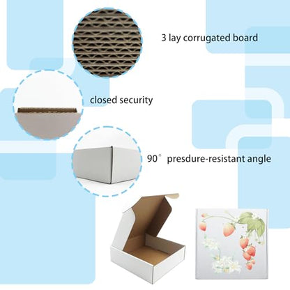 10x10x3 Inch White Shipping Boxes 25 Pack,Craft Gift Boxes,Bulk of Mailers - size: 10''x10''x3''