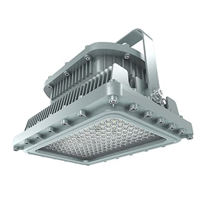 LED Explosion Proof Light UL844 Certified 150W 21000LM(600W HPS Eqv.), Class I Division I Hazardous Locations Luminaires Warehouse Lighting 100-277V, IP66 D Series - color: 100-277V, size: 150W