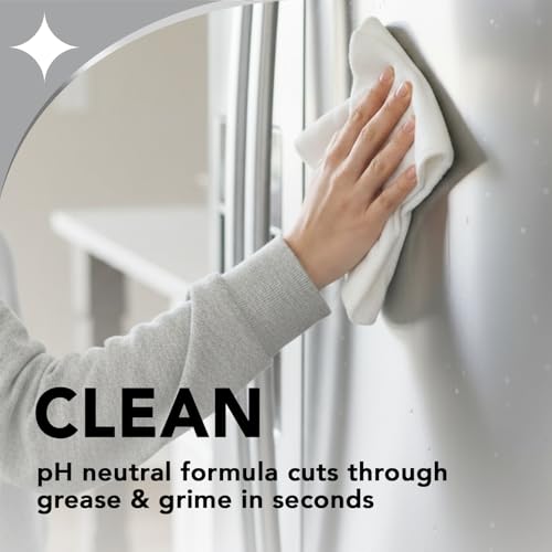 Weiman Stainless Steel Cleaner & Polish Spray with Cloth, Anti-Fingerprint - size: 22 Fl Oz (Pack of 1)
