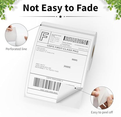 FungLam 4x6 Thermal Shipping Labels, 500 PCS Direct Shipping Labels 4x6 for Thermal Printer, White Perforated & Strong Adhesive, 250 Labels/Roll, 2 Rolls - size: 2 Rolls
