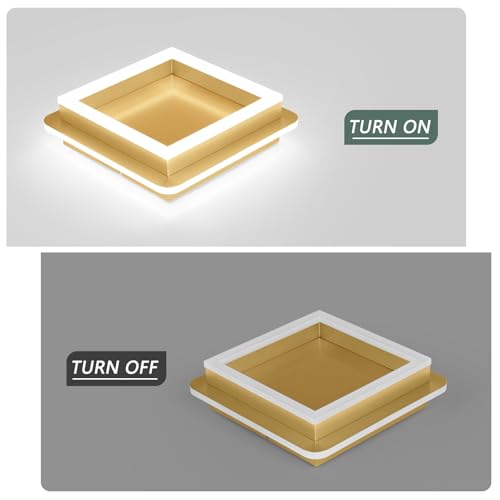 CANEOE Square LED Hallway Ceiling Light, Gold Modern Led Ceiling Light Fxitures, 6000K Cold White Small Flush Mount Ceiling Lamp for Hallway Bedroom Kitchen Balcony Cloakroom - color: All Gold, size: 1 Pack