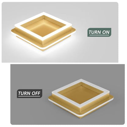 CANEOE Square LED Hallway Ceiling Light, Gold Modern Led Ceiling Light Fxitures, 6000K Cold White Small Flush Mount Ceiling Lamp for Hallway Bedroom Kitchen Balcony Cloakroom - color: All Gold, size: 1 Pack