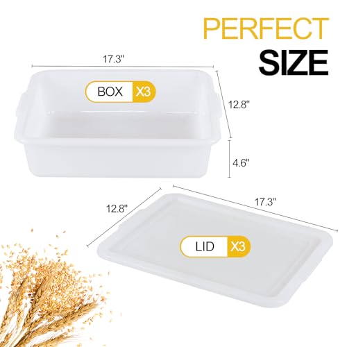 3 Pack Pizza Dough Proofing Box, Pizza Storage Container, 13L