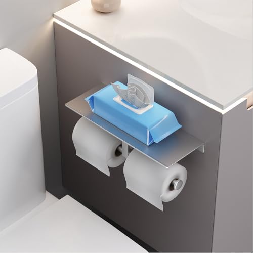 Danpoo Bathroom Toilet Paper Holder with Shelf, Wall Mount, Double Roll, Silver - color: Silver