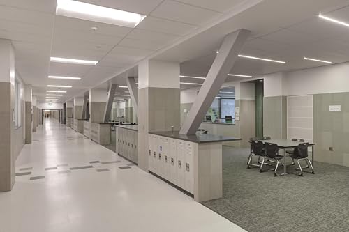 Lithonia Lighting 2x4 LED Troffer Light, BLT Series Low Profile LED Drop in Ceiling Light for Dropped Ceiling with Curved Ribbed Diffuser, 4000 Lumens, 3500K Neutral White - color: 3500K, size: 2 ft x 4 ft, style: Standard