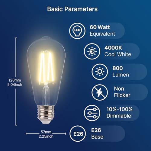 FLSNT 7W LED Edison Bulbs, 60W Equivalent, 90+ High CRI, 4000K Cool White, ST19 LED Light Bulbs, 800LM, E26 Base, Dimmable, 12 Pack - color: 60w 4000k Cool White, size: 12 Count (Pack of 1)
