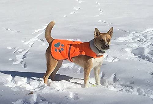 Blaze Orange Dog Vest. Reflective High Visibility in Hunting & Wooded Areas - size: Medium