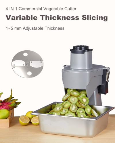 4 in 1 Electric Vegetable Chopper 110V Electric Vegetable Slicer Dicer Shredder & Strip Cutter with Multi Stainless Steels Blades 200W Electric Vegetable Slicer