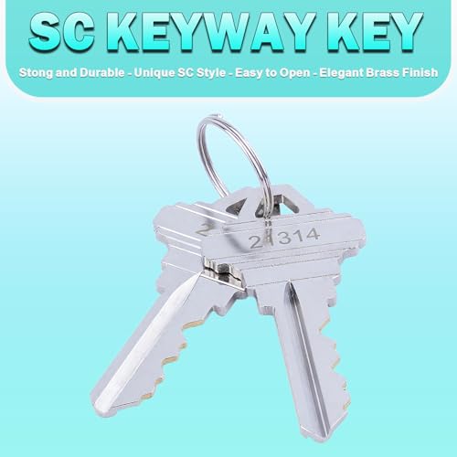 2Pcs Brass Mortise Door Cylinder Locks Keyed Alike with 4 SC Keyway Keys - size: 1 Inch