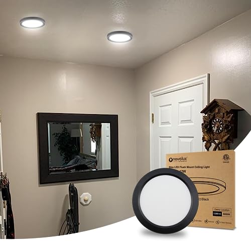 ETL 7 inch Small LED Flush Mount Ceiling Light Dimmable,5000K Daylight Ultra Slim Round Flat Panel Ceiling Light Fixture,Modern Ceiling Lamp for Closet,Kitchen,Bathroom 1 Pack Black - color: Black, size: 7 inch-1 Pack