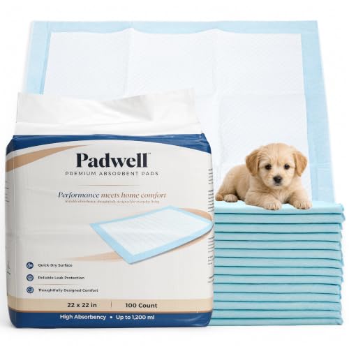 Absorbent Pads, Home Protection Pee Pads, 22 x 22 Inches, 100 Count - size: 100 Count