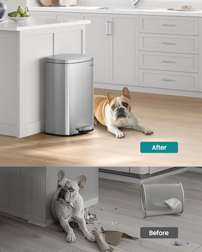 SONGMICS 13 Gallon (50 L) Trash Can, Stainless Steel, Step-On Pedal - color: Silver, size: 13 Gal.