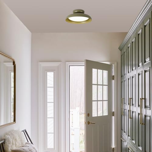 BISAMIYA Dimmable LED 15.7 inch Semi Flush Mount Ceiling Light - color: Deep Green