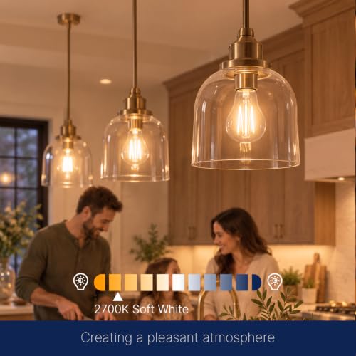 FLSNT 60W Eqv Dimmable LED Bulbs, 800LM, 2700K Soft White, E26, 4 Pack - color: 60w 2700k Soft White, size: 4 Count (Pack of 1)
