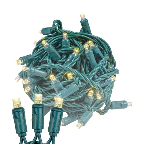 Novelty Lights 50ft 100 LED Warm White Christmas Lights, Green Wire - color: Warm White
