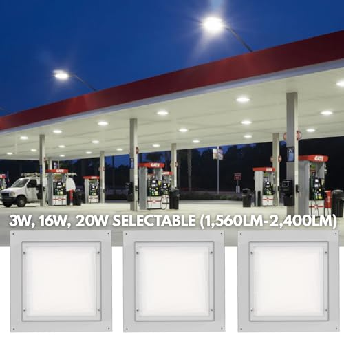 Espen Zenon LED Canopy Light 13W/16W/20W Selectable, 1560–2400LM, 3000K/4000K/5000K, White Outdoor Garage Ceiling Light, 120-277V, 0-10V Dimmable, Damp Rated