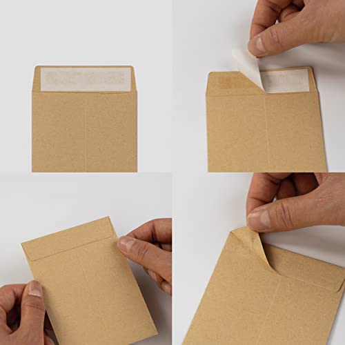 100 Pack Seed Envelopes Self-Adhesive, 3 1/4 x 4 1/2 inches, Kraft Brown - color: Kraft Brown