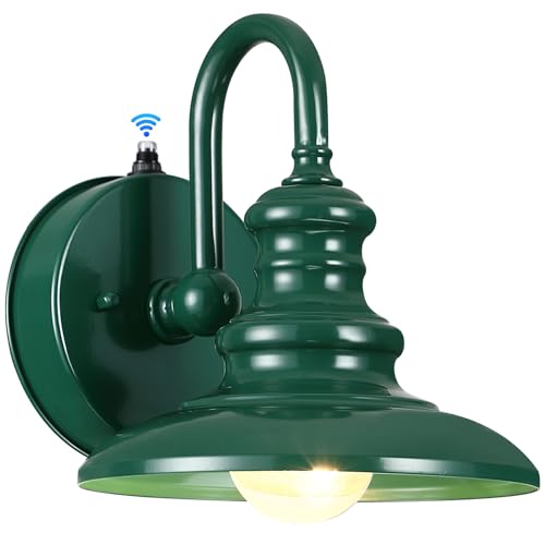 LONEDRUID Dusk to Dawn Sensor Outdoor Gooseneck Barn Light Fixture Green - color: Green