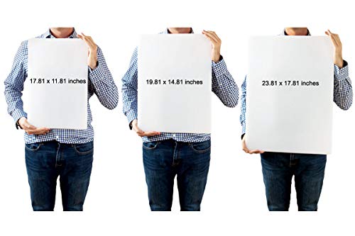 Thirteen Chefs Extra Large 24 x 18 Black Cutting Board - 1/2" Thick HDPE Plastic for Restaurants and Professional Kitchens - color: ['White'], size: 24"L x 18"W