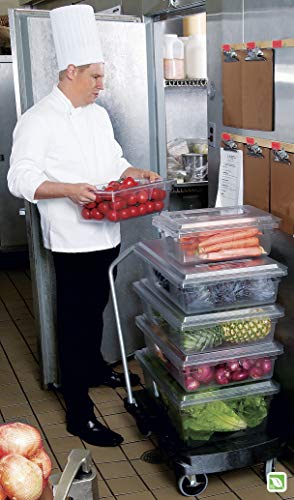 Rubbermaid Commercial Products Food Storage Box/Tote for Restaurant/Kitchen/Cafeteria, 2.75 Gallon, White (FG369000WHT) (Pack of 2)